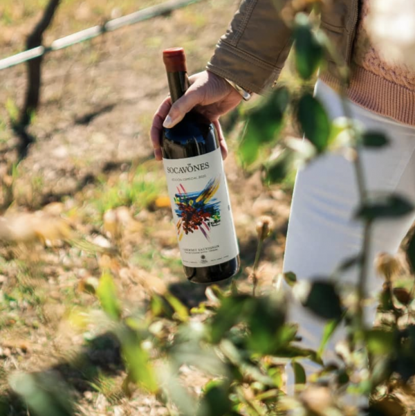 Bodega Terra Camiare