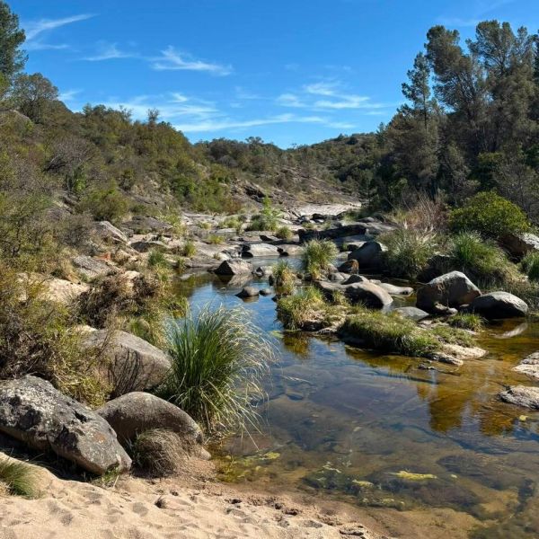 Rio Dorado