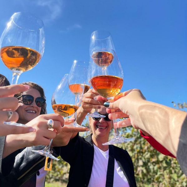 Bodega Terra Camiare