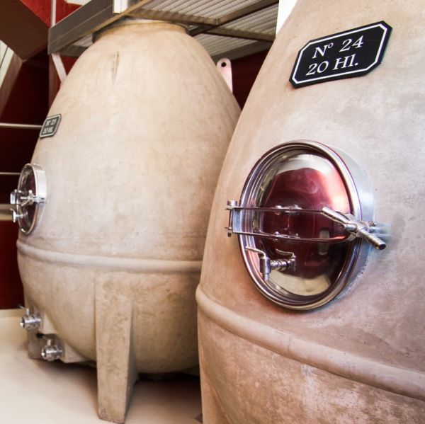 Bodega Terra Camiare