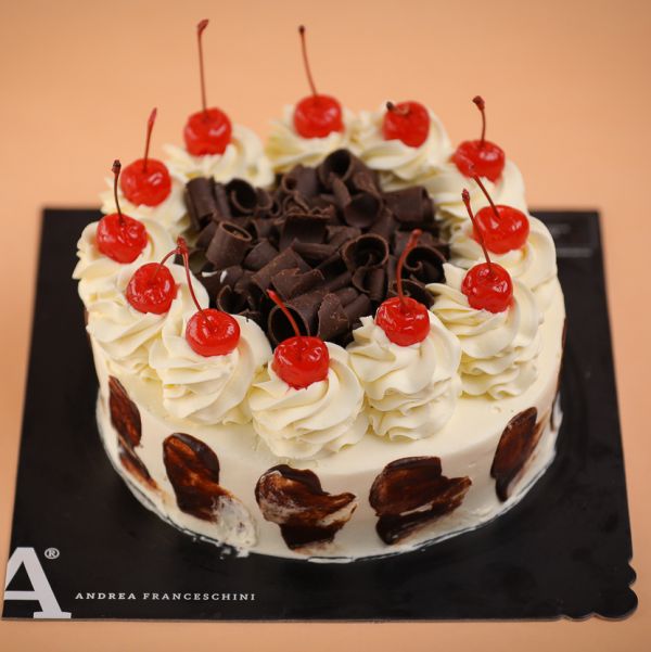 Andrea Franceschini Ricchieri