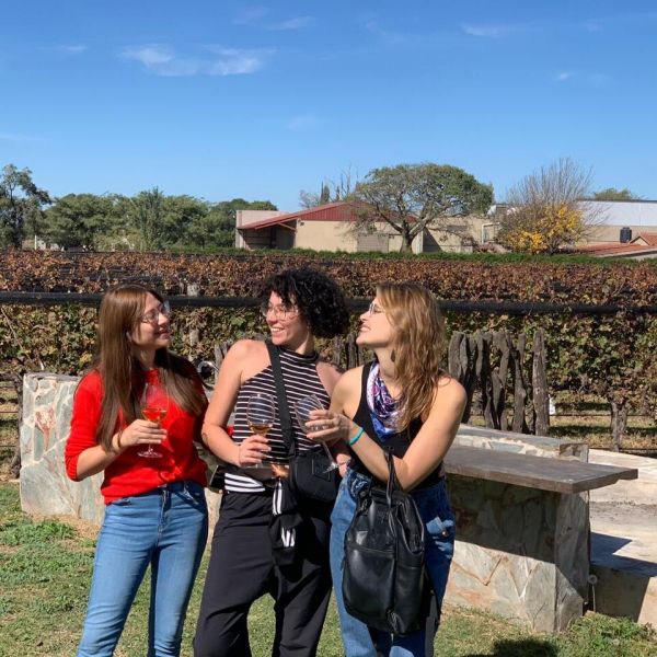 Bodega Terra Camiare