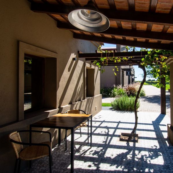 Bodega Terra Camiare