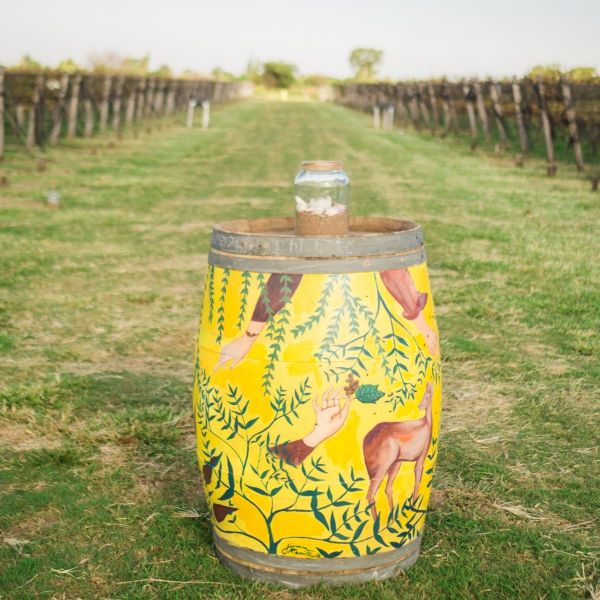 Bodega Terra Camiare