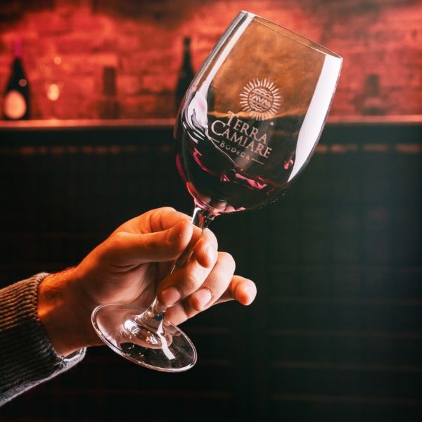 Bodega Terra Camiare