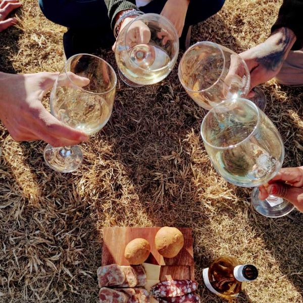 Bodega Terra Camiare