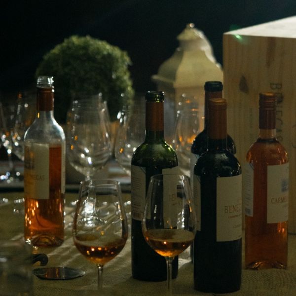 Maridaje de Queso y Vinos