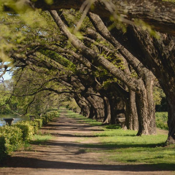 Pueblo Estancia La Paz